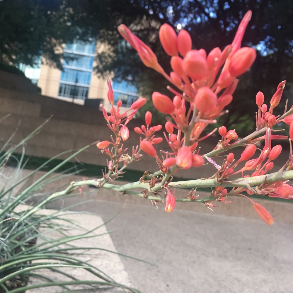 Meet your Posher, Isabella